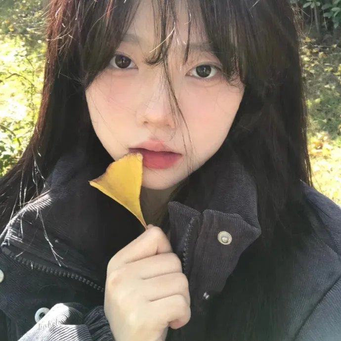 暴走报告第二季